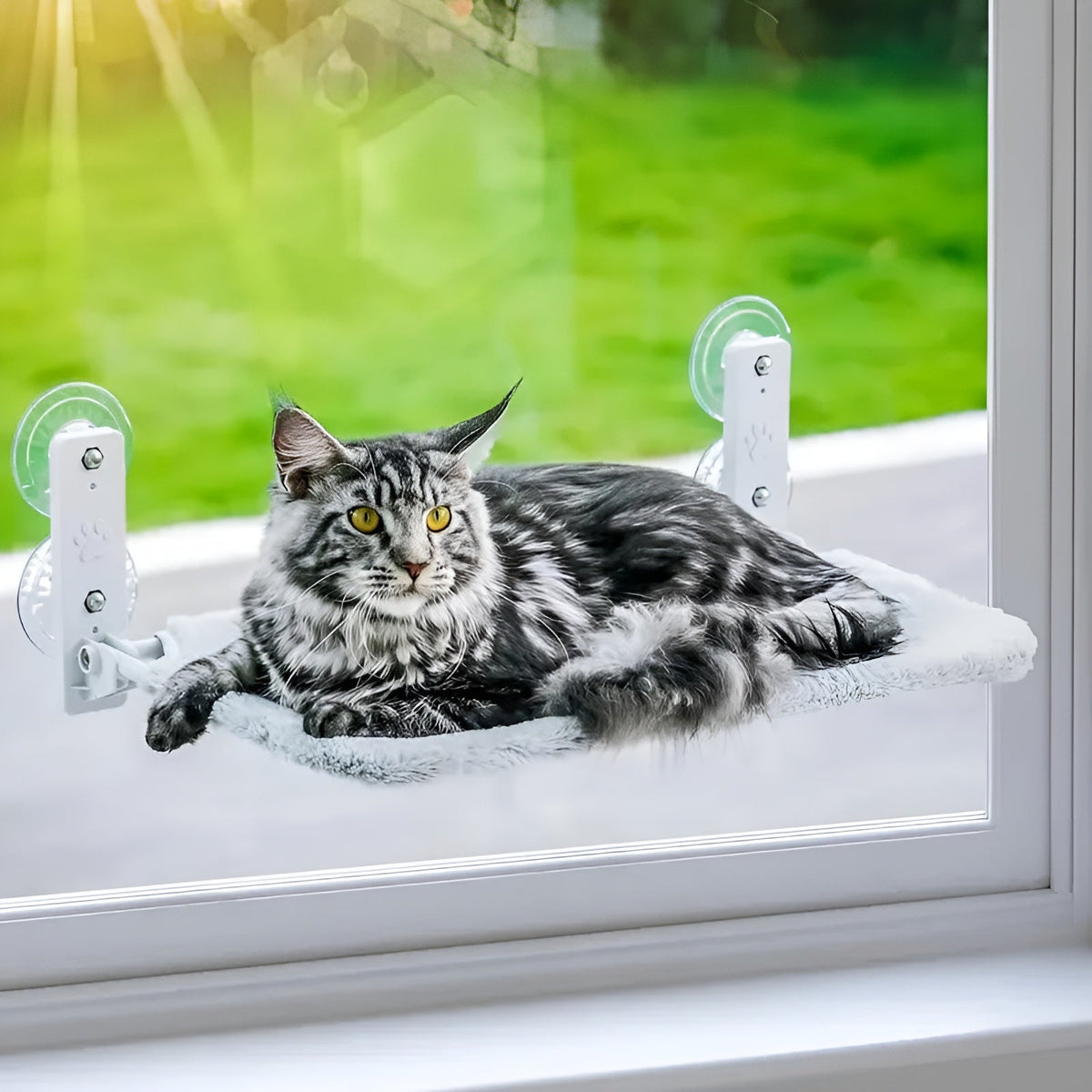 Window Side Foldable Comfy Cat Bed