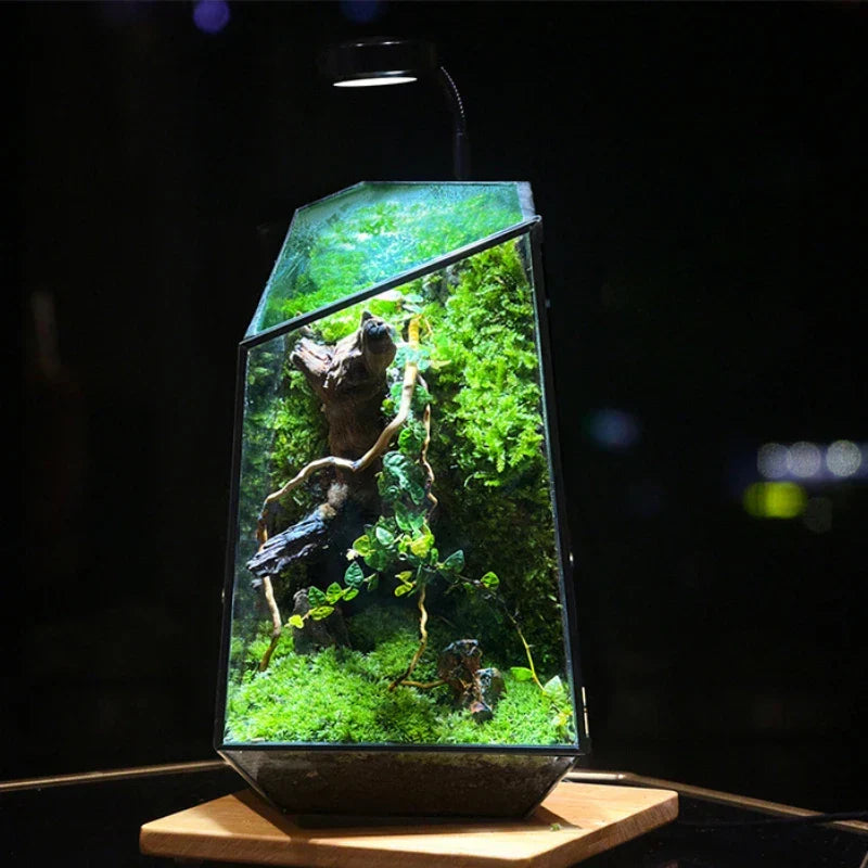 Modern Geometric Nature-Inspired Botanical Terrarium