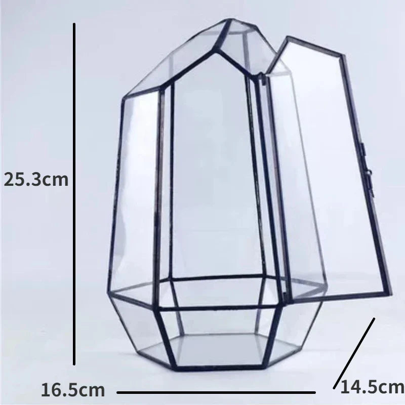 Modern Geometric Nature-Inspired Botanical Terrarium