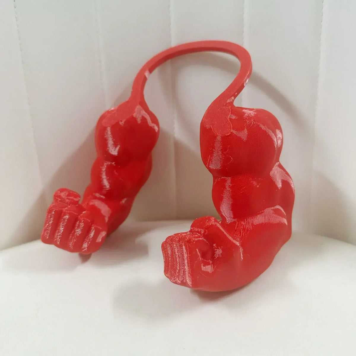 Body Builder Neck Hanging Pet Toy