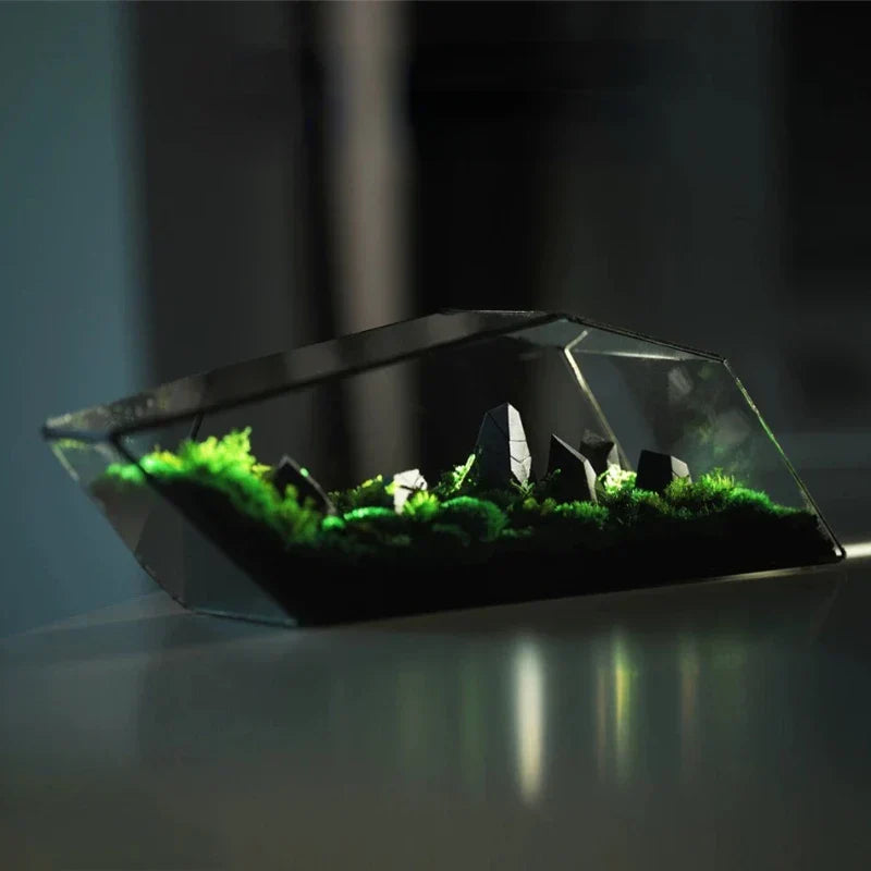 Geometric Glass Moss Planter Terrarium Vase